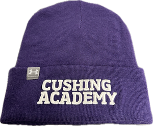 UA Beanie Purple