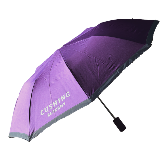 Solid Purple Patina Umbrella With Cover